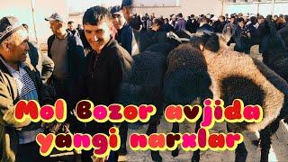 Mol BozorYangi narxlar bilan tanishing