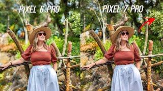 Google Pixel 7 Pro vs Pixel 6 Pro Camera Test: SAME Camera??