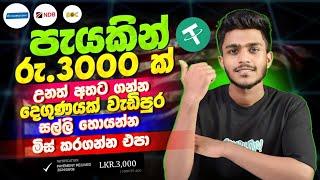 online job sinhala - online job at home sinhala - E money sinhala - VANA binance sinhala