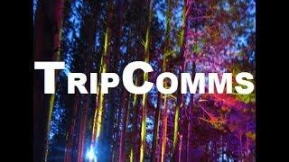 Subscribe to Trippy Commentaries!