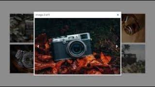 Responsive Image Lightbox using HTML CSS & JavaScript  Lightbox Gallery in JavaScript