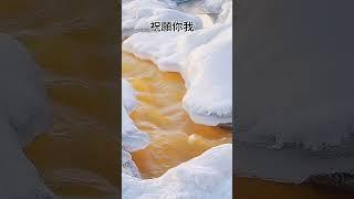 轉念就是轉命！ 拾穗之悅～2025年2月14日