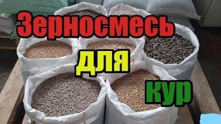 Чем кормить кур чтобы они хорошо неслись , кормление кур несушек!! Зерносмесь для кур несушек!