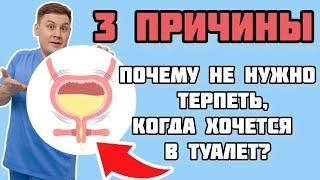 Вредно ли терпеть, когда хочется в туалет?