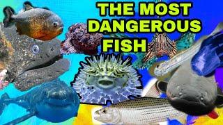The Most Dangerous Fish in the World!