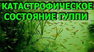 Это ж*па. Решил не скрывать. Что случилось то случилось. Чему быть - того не миновать