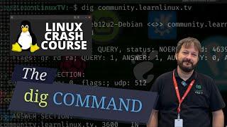 How to Use the dig Command in Linux | DNS Lookup Tutorial