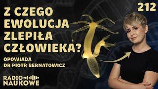 Wspólnota życia – ewolucja odsłania prawdę o pochodzeniu człowieka | dr Piotr Bernatowicz