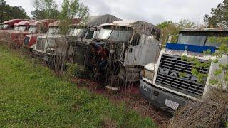 Will it START!? 1991 CH Mack FOUND Abandoned in TRUCK GRAVEYARD..