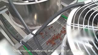 Automatic Nut Peanut Frying Cooling And Flavoring Machine