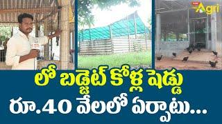 Poultry Farm Shed Structure Plan | లో బడ్జెట్ కోళ్ళ షెడ్డు రూ.40 వేలలో ఏర్పాటు..! Tone Agri