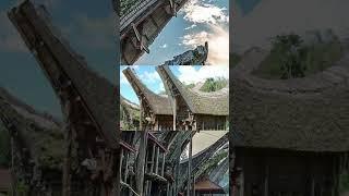 fakta toraja unik #toraja #budaya #trendingshorts #wisata #sulawesiselatan