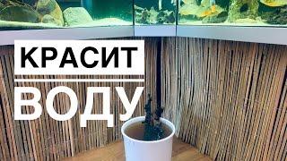 Коряга красит воду