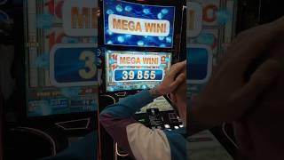 Большой Выигрыш В Бесплатной Игре Majestic Forest