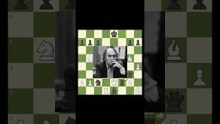 Mikhail Tal Brilliancy #chess #chesscom #gothamchess