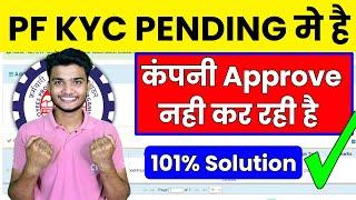  PF KYC New Update 22/08/2024 | PF Bank KYC Approve kaise kare 2024 | PF KYC Kaise kare 2024 #pfkyc