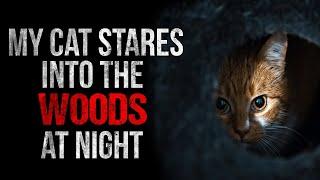 "My Cat Stares into the Woods at Night" Creepypasta