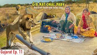 गुजरात का शेर  Lion Safari Sasan Gir, Farm Stay,  Village Traditional Food || Gujarat Ep. 11