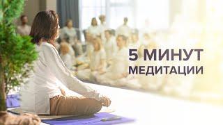 5 минут медитации Крийя | Медитация с Мастером Имрамом