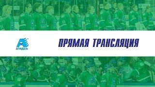 Агидель» (Уфа) – «Торнадо» (Дмитров) 19 апреля, 18:30