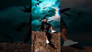 bird sky video adit #sky #trending #like #short #youtubeshorts