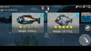 My Fishing World : Раптор и Лезвие (Монстры, Река Амазонка, Ежедневное задание) #myfishingworld