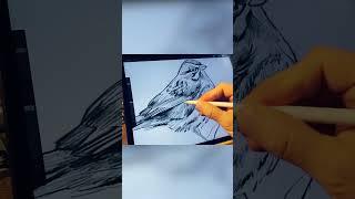 The Fundamentals of Drawing #shorts #drawingshorts #sketching