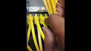 "Structured cabling in progress — ensuring reliable network connectivity at the patch panel.