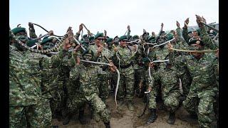 CAKRA.... Bangganya para Perwira Tinggi TNI  disematkan Brevet Cakra Kehormatan  oleh Pangkostrad