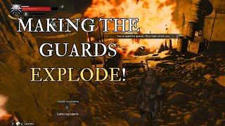 The Witcher 3:  Let's make the GUARDS EXPLODE! - Gameplay #witcher3