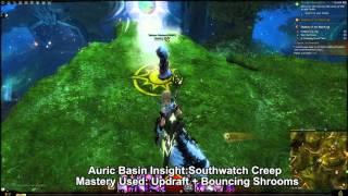 GW2 Auric Basin Mastery Insights Guide