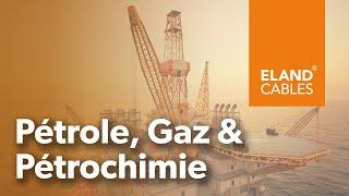 Pétrole, Gaz & Pétrochimie