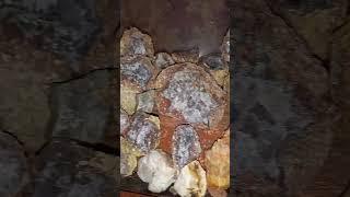 #shorts #viralvideo #youtubeshorts #minerals #gemstone #crystals #guanajuato #