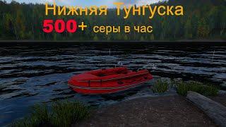 РР4 Нижняя Тунгуска/500+ серебра в час/ троллинг