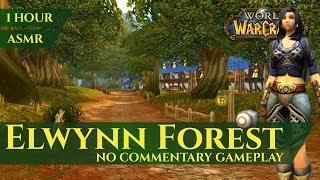 Elwynn Forest - Alliance Gameplay, No Commentary, ASMR (1 hour, 4K, World of Warcraft Vanilla)