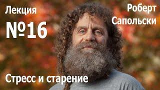 Лекция №16. Роберт Сапольски — «Стресс и старение»