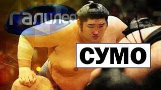 Галилео | Сумо  [Sumo]