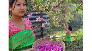 Recipe of Bauhinia Flower//Kachnar ki Sabji