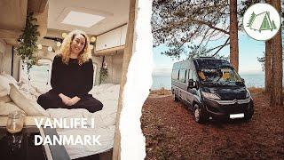 Vanlife i Danmark: Mie bor i en van med sin Hund