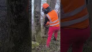 #shorts #youtubeshorts #subscribe #subscribetomychannel #treework #climbing #arborist #work #fyp