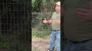 Hog Fence? Works But its Expensive!! #crops #hogs #damage #fence #expensive