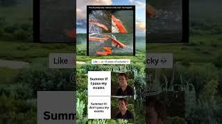 Nice AI #chatgpt #ai  #memes from #xavierteacher