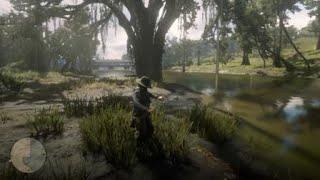 Red Dead Redemption 2 - RDR2 - COMMON BULRUSH - HERB - LOCATION