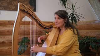 O Cruror Sanguinis (Songs of Hildegard von Bingen for Harp)