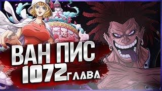 НОВЫЙ ЧЛЕН ПИРАТОВ РОКСА Д ШЕБЕКА / 1072 глава ВАН ПИС /ТАЙНЫ ПИРАТОВ РОКС РАСКРЫТЫ обзор теория