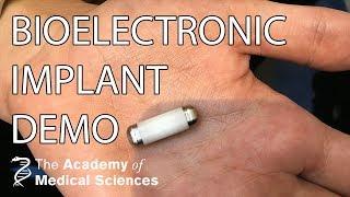 Bioelectronic implants demonstration | Professor Kevin Tracey