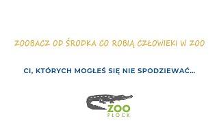 ZOObacz od środka co robią człowieki w ZOO - odc. 6