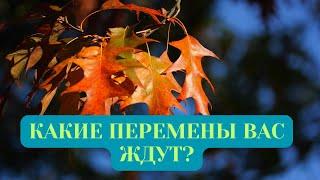 КАКИЕ ПЕРЕМЕНЫ ВАС ЖДУТ?