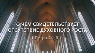 1 Петра 2:1-3. О чем свидетельствует отсутствие духовного роста | Андрей Вовк | Слово Истины