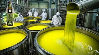 How Olive Oil Is Made in Factory | Olive Oil Making Process | Captain Discovery